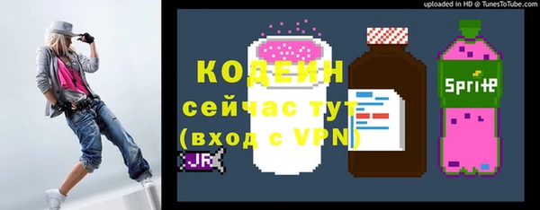 шишки Балахна