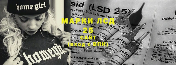 эйфоретик Аркадак