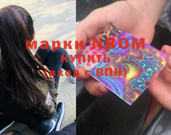 шишки Балахна