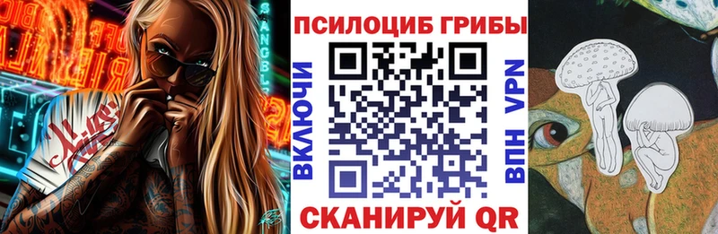 KRAKEN зеркало  Лянтор  shop формула  Галлюциногенные грибы Psilocybine cubensis 