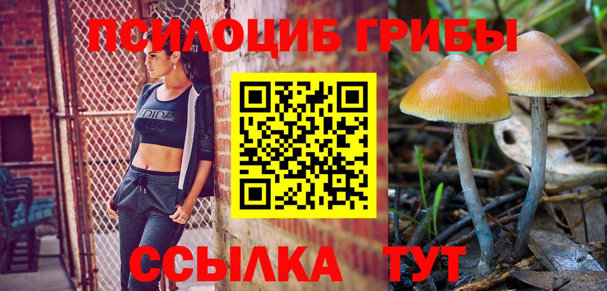 Галлюциногенные грибы Cubensis  Вход с VPN  Псилоцибиновые грибы мицелий  купить  цена  Лянтор 
