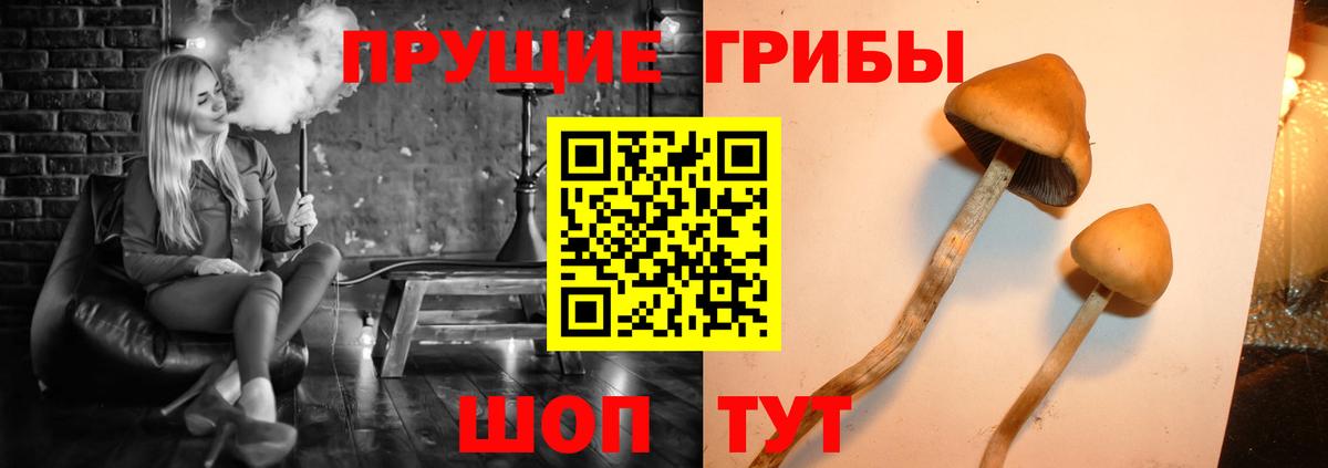 Псилоцибиновые грибы ЛСД Лянтор